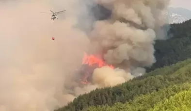 21 saatlik mücadele: Alanya’daki yangın kontrol altında!