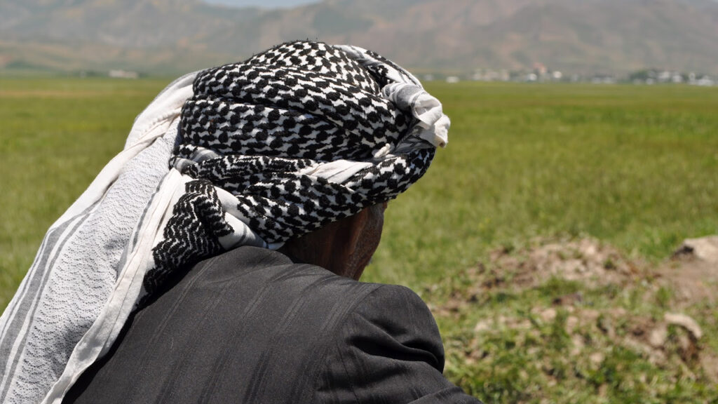 Mıdı tenyo ne demek? Mıdı tenyo Türkçe Kürtçe anlamı nedir? Mıdı tenyo hayat ne demek?