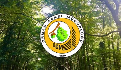 OGM personel alımı 2024 yapacak? OGM personel alımı başvuru şartları nelerdir?