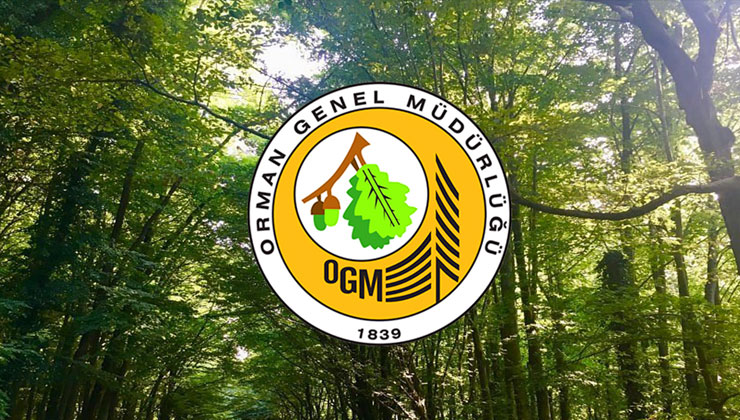 OGM personel alımı 2024 yapacak? OGM personel alımı başvuru şartları nelerdir?