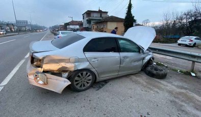 Son 5 Yılda 3 Bin 476 Trafik Kazasına Sokak Köpekleri Sebep Oldu