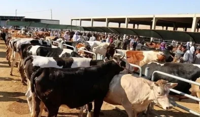 Kurban Bayramı Öncesi Tedbirler (Kurallar) Açıklandı Mı?