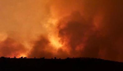 Diyarbakır-Mardin Sınırındaki Yangında Can Kaybı 14’e Çıktı