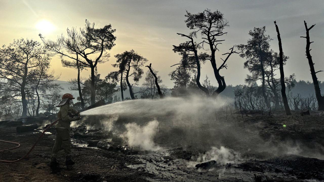 çanakkale orman yangını