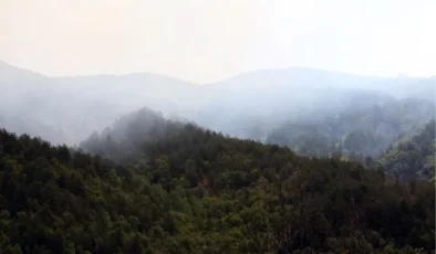 SON DAKİKA KASTAMONU’NDA YANGIN: Kastamonu Orman Yangını Nerede Çıktı, Çıkış Nedeni Ne, Söndürüldü Mü, Son Durum Nedir?