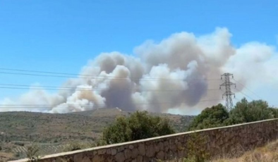 Çeşme’de Orman Yangını: 3 Kişi Hayatını Kaybetti