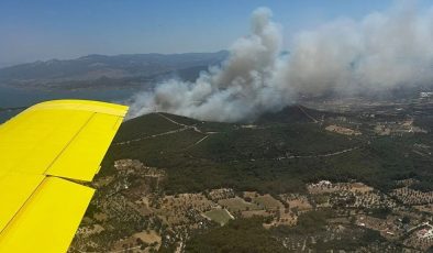 İzmir’de Orman Yangını: 2 Sitede Tahliye