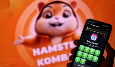 Hamster Kombat kombo 17 Temmuz! Hamster Kombat 17 Temmuz günlük şifre nedir? Günlük kombo hamster nedir?