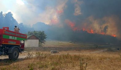 Ankara’da başlayan yangın Bolu’ya sıçradı