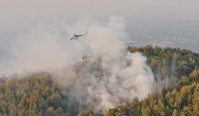 Aydın ve Muğla’daki Orman Yangınları Kontrol Altına Alındı