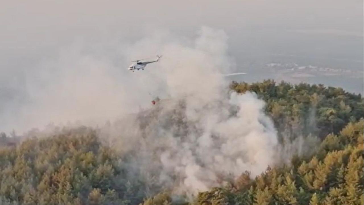 Aydın ve Muğla’daki Orman Yangınları Kontrol Altına Alındı