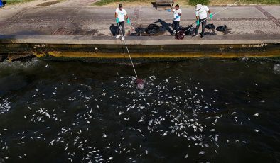 İzmir Körfezi’ndeki Kirlilikle İlgili Belediyeye 1,8 Milyon Lira Ceza