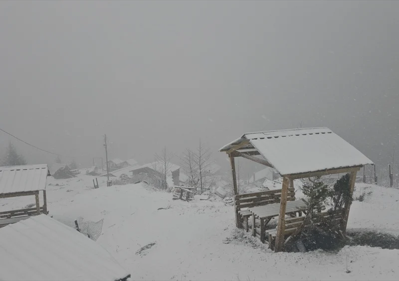 rize kar sarı kod