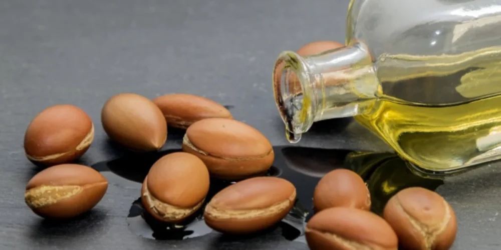 Argan Yağı Nedir, Cilde ve Saça Faydası Var mı, Neyden Elde Edilir?