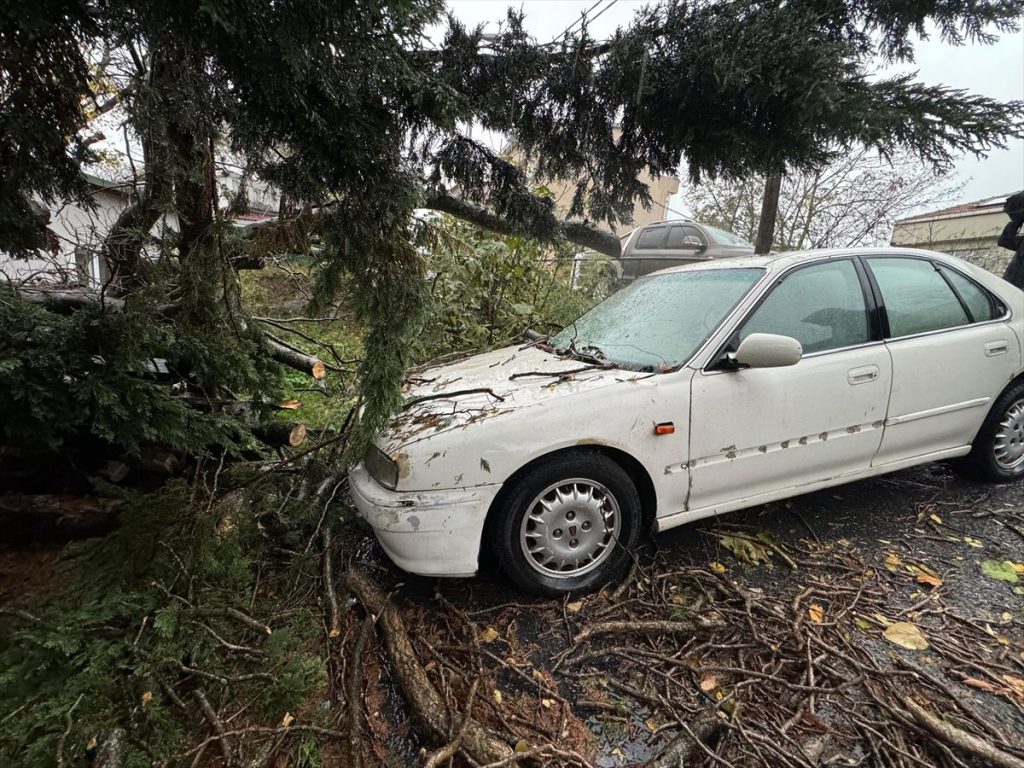 istanbul fırtına 2 sağanak