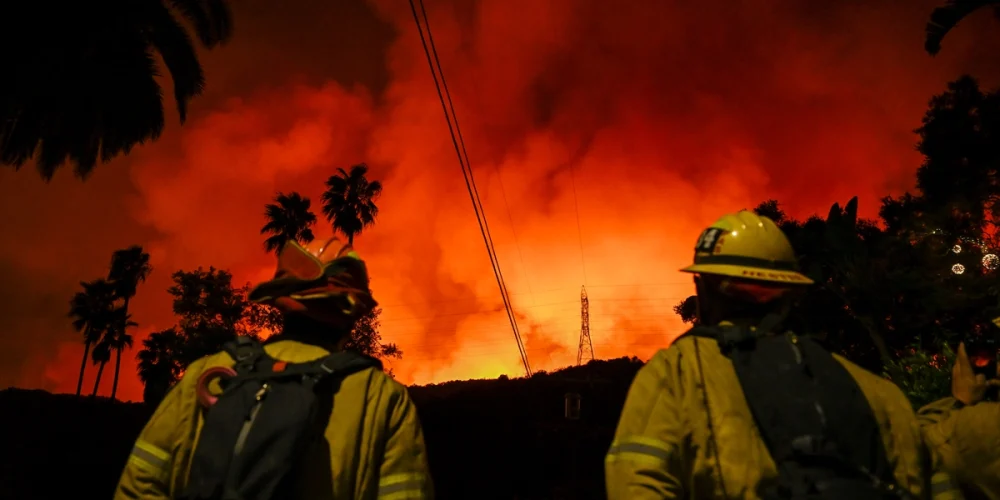 los angeles yangın 24 ölü