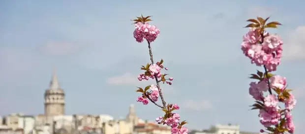 2025 İstanbul Nevruz Bayramı Ne Zaman? Nerede Kutlanacak? Saat Kaçta?